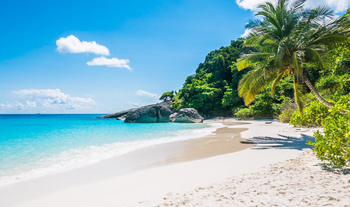 Tiger Marine Charter - Destinations - Secret Beaches Cruise