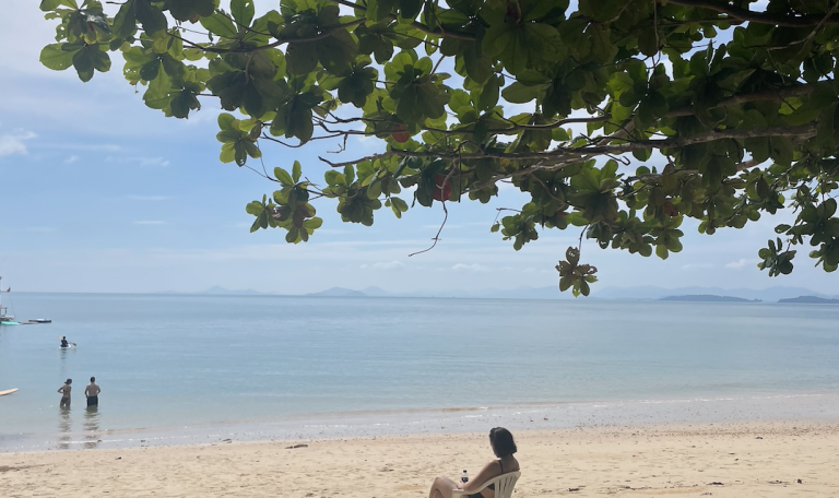 Tiger Marine Charter Destinations - Secret Beaches Cruise - 7