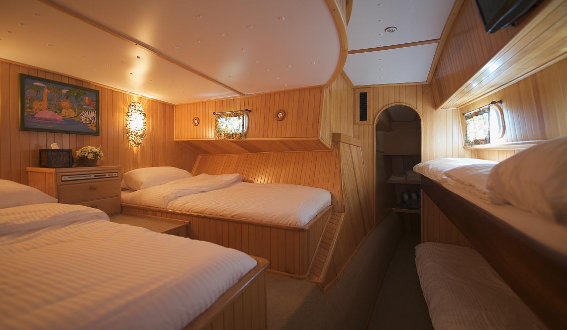 Tiger Marine Charter - Shangani 70ft Jungle Room Cabin