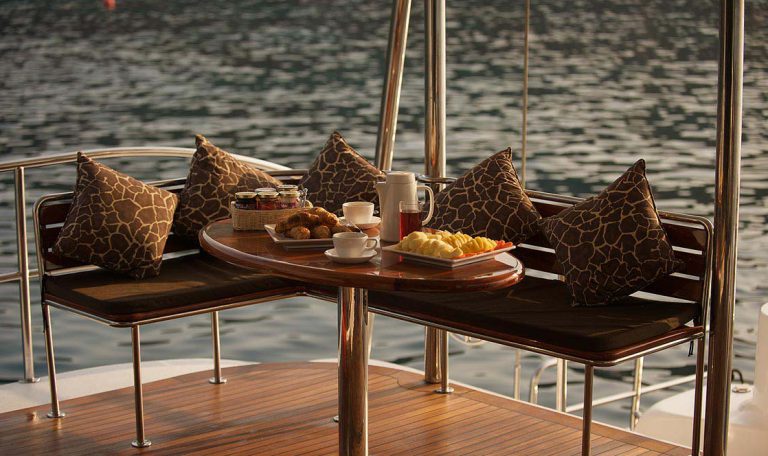 Tiger Marine Charter - Shangani 70ft Middle Deck - 12