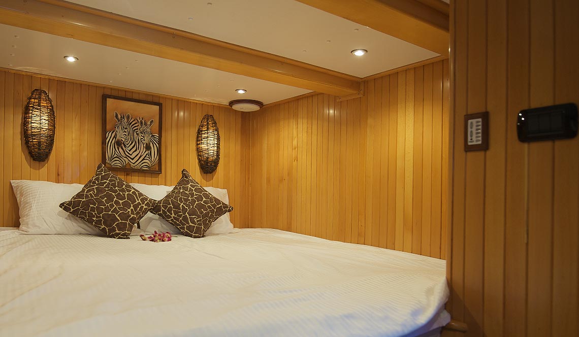Tiger Marine Charter - Shangani 70ft Zebra Suite Cabin