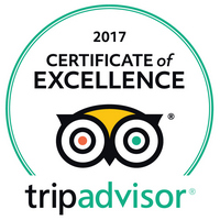 2017 Certificate of Excellence - Tiger Marine Charter