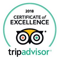 2018 Certificate of Excellence - Tiger Marine Charter