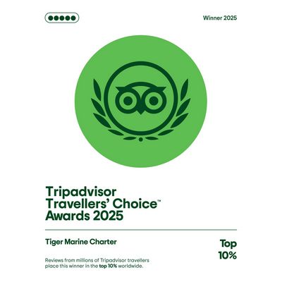 Tiger Marine Charter - Trip Advisor 2025