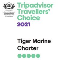 Tiger Marine Charter - Trip Advisor - Travellers choice 2021