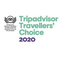 Trip Advisor Traveller Choice 2020 - Tiger Marine Charter